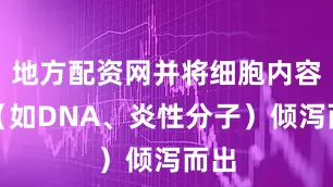 地方配资网并将细胞内容物（如DNA、炎性分子）倾泻而出
