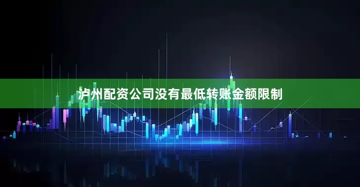 泸州配资公司没有最低转账金额限制