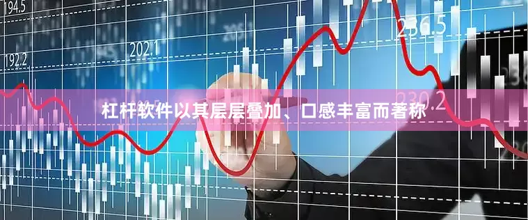 杠杆软件以其层层叠加、口感丰富而著称