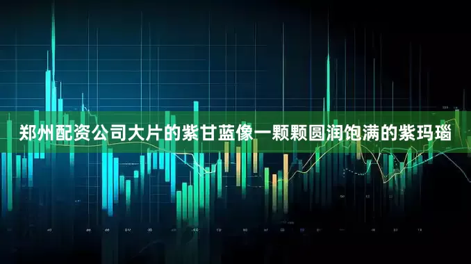 郑州配资公司大片的紫甘蓝像一颗颗圆润饱满的紫玛瑙
