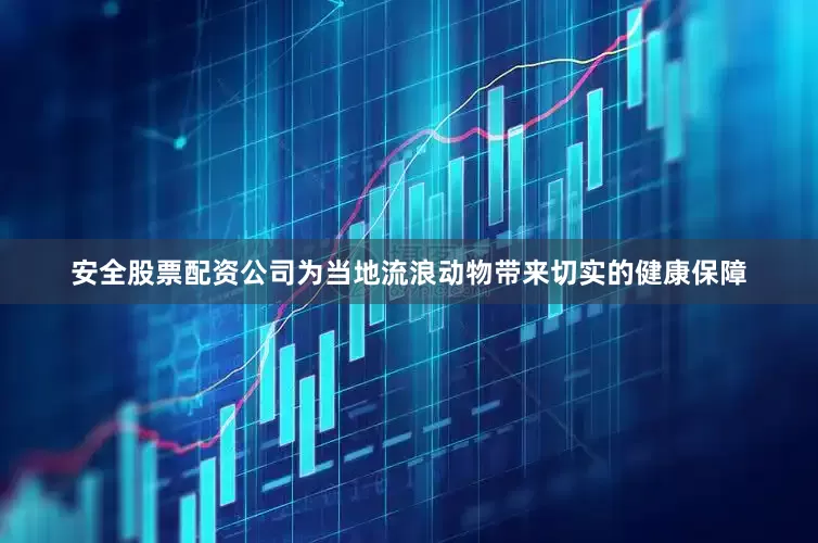 安全股票配资公司为当地流浪动物带来切实的健康保障