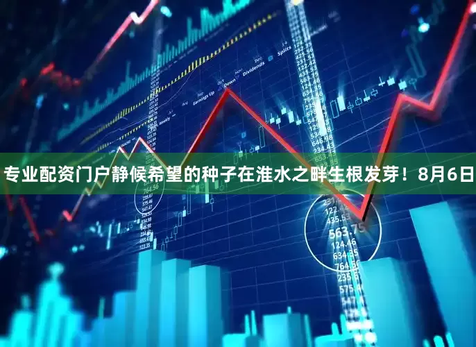 专业配资门户静候希望的种子在淮水之畔生根发芽！8月6日