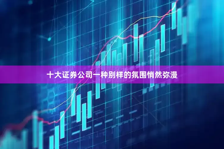 十大证券公司一种别样的氛围悄然弥漫
